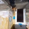 Собакен греется на солнышке Собакен греется на солнышке