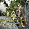 D2d314d4a878573542a8e76665d prev