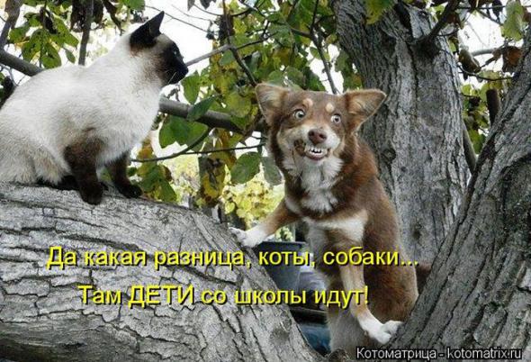 D2d314d4a878573542a8e76665d prev