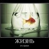 Жизнь,это время Жизнь,это время