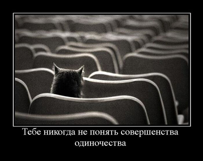 Совершенство одиночества
