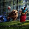 Если встретили медведя
