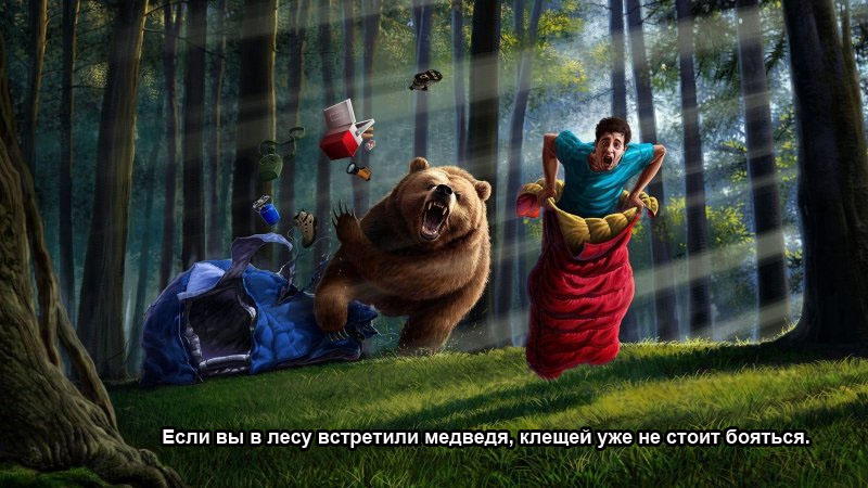 Если встретили медведя