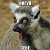 нигуя зибе!!!!