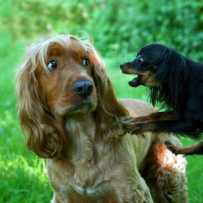 Не ходи туда, там бабайка...