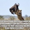 Дружба животных Дружба животных