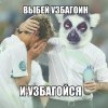 выбей узбагоина))))) выбей узбагоина)))))