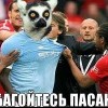 узбагойтезь пасаны)))))
