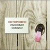 Ласковая собака