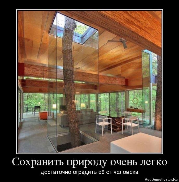 221556765331246952