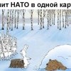 Саммит НАТО