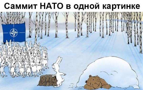 Саммит НАТО