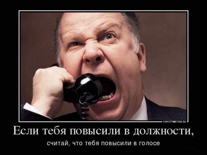 Повысили в должности