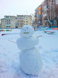мартофский снеговиг)))))