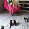 Поговорить надо