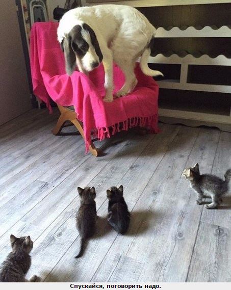 Поговорить надо