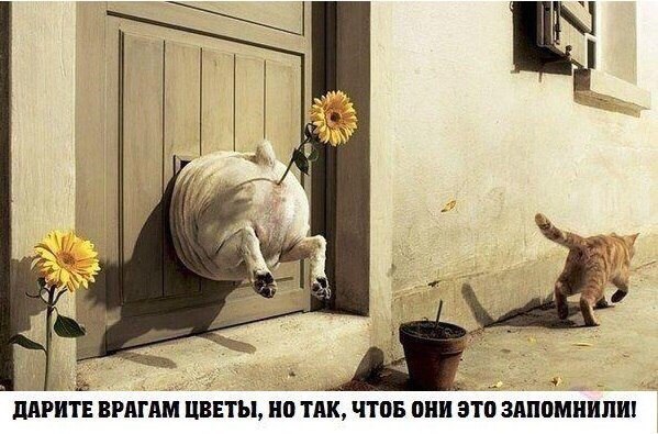 Врагам-цветы
