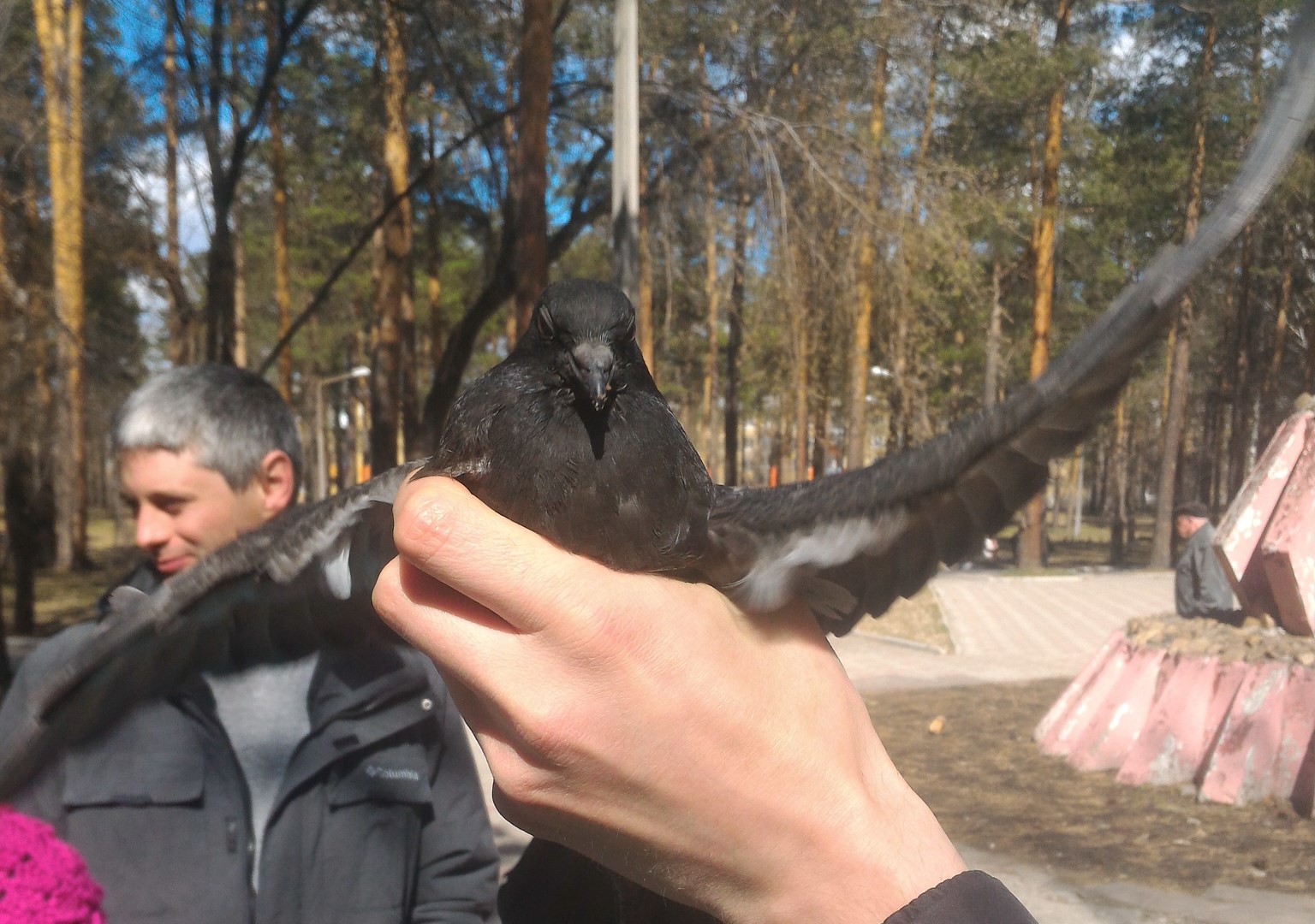 Смотри, как я умею!