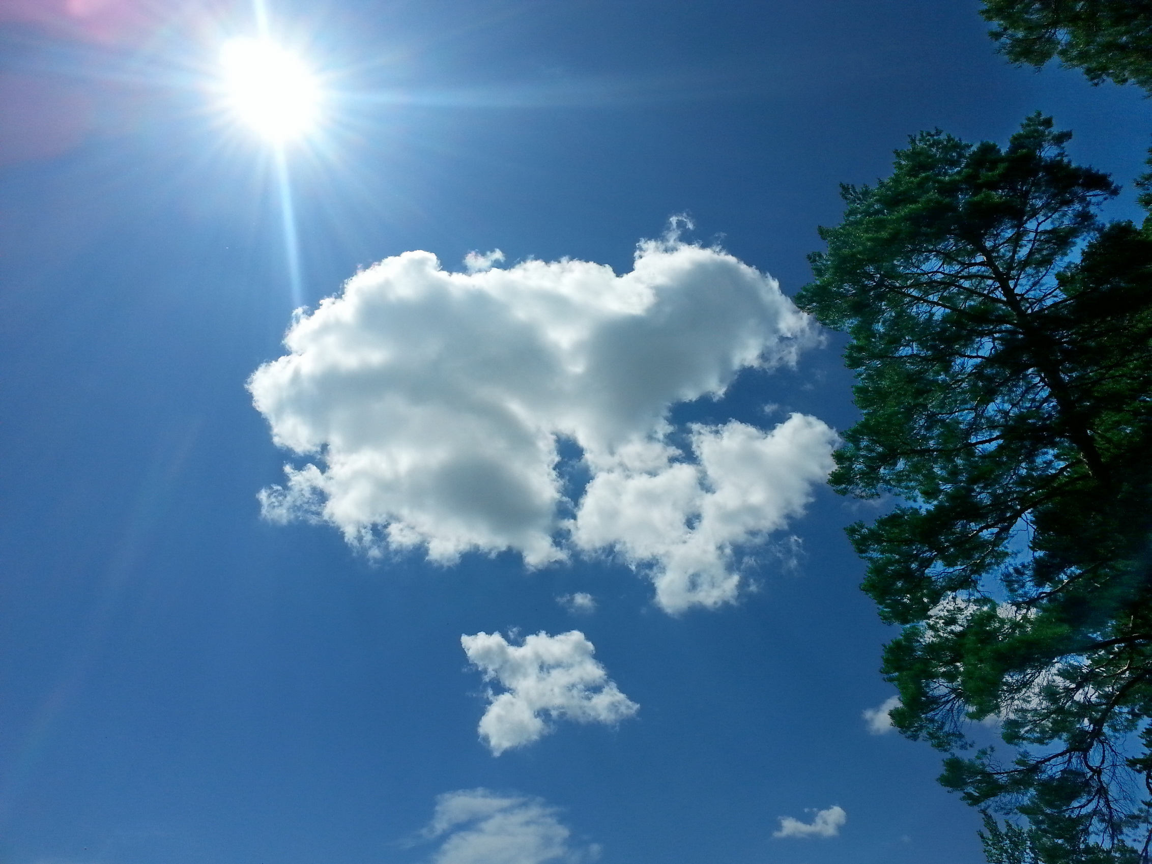 Облако 20130728_151130))))