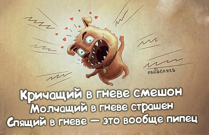 Гнев
