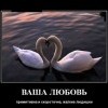 Ваша любовь