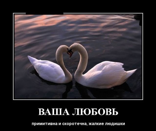Ваша любовь