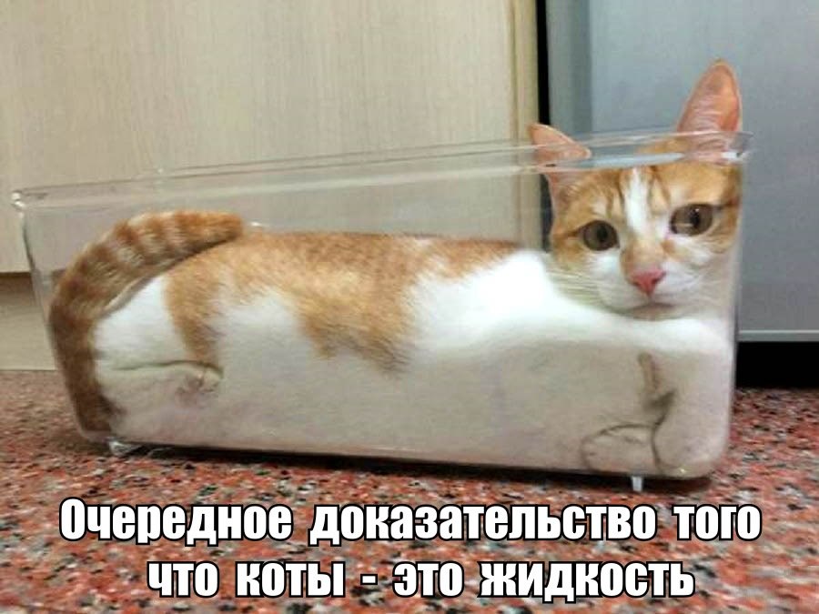 Котэ