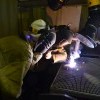 Ученики «Роснефть-класса» получили навыки первой профессии
