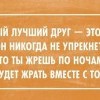 Самый лучший друг Самый лучший друг