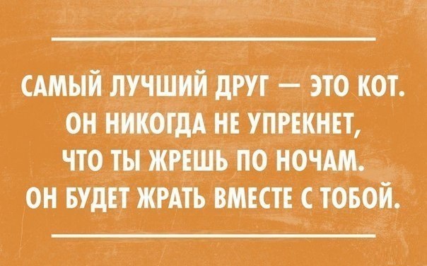 Самый лучший друг