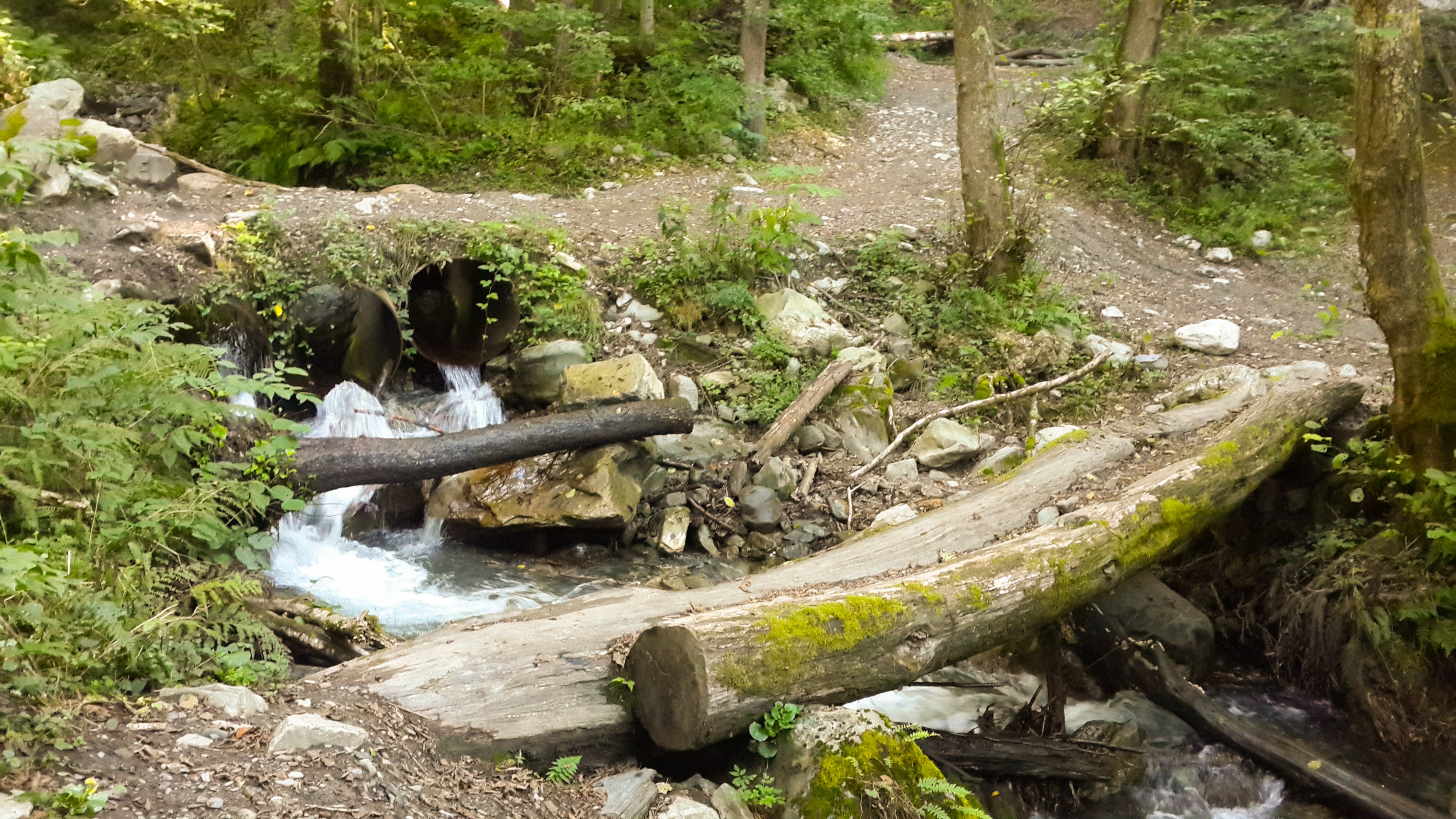 речка и ейные мостики