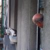 Соседи