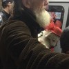собачка модница собачка модница