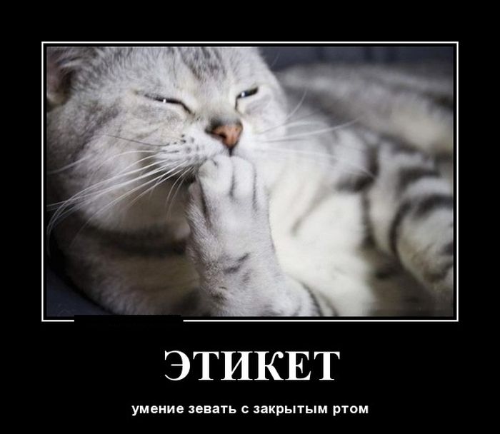 Этикет