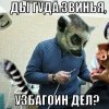гуда дел узбагоин звинья))))) гуда дел узбагоин звинья)))))
