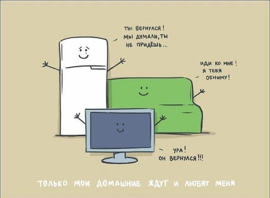Мои домашние