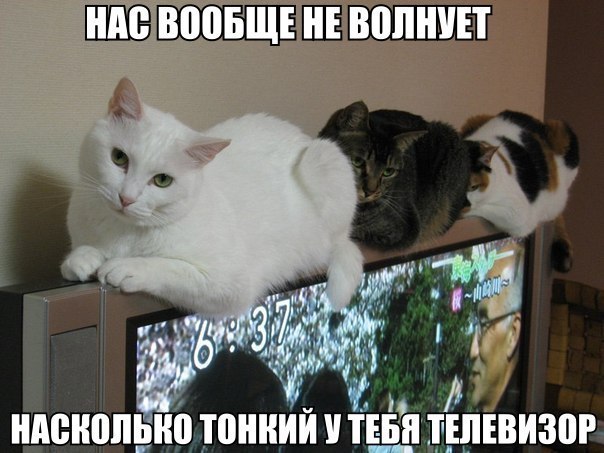 Нас вообще не волнует