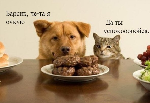Че-та я очкую...