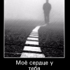 Мое сердце у тебя Мое сердце у тебя