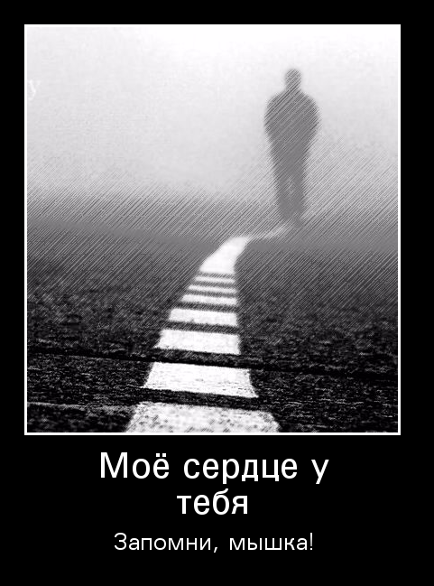 Мое сердце у тебя