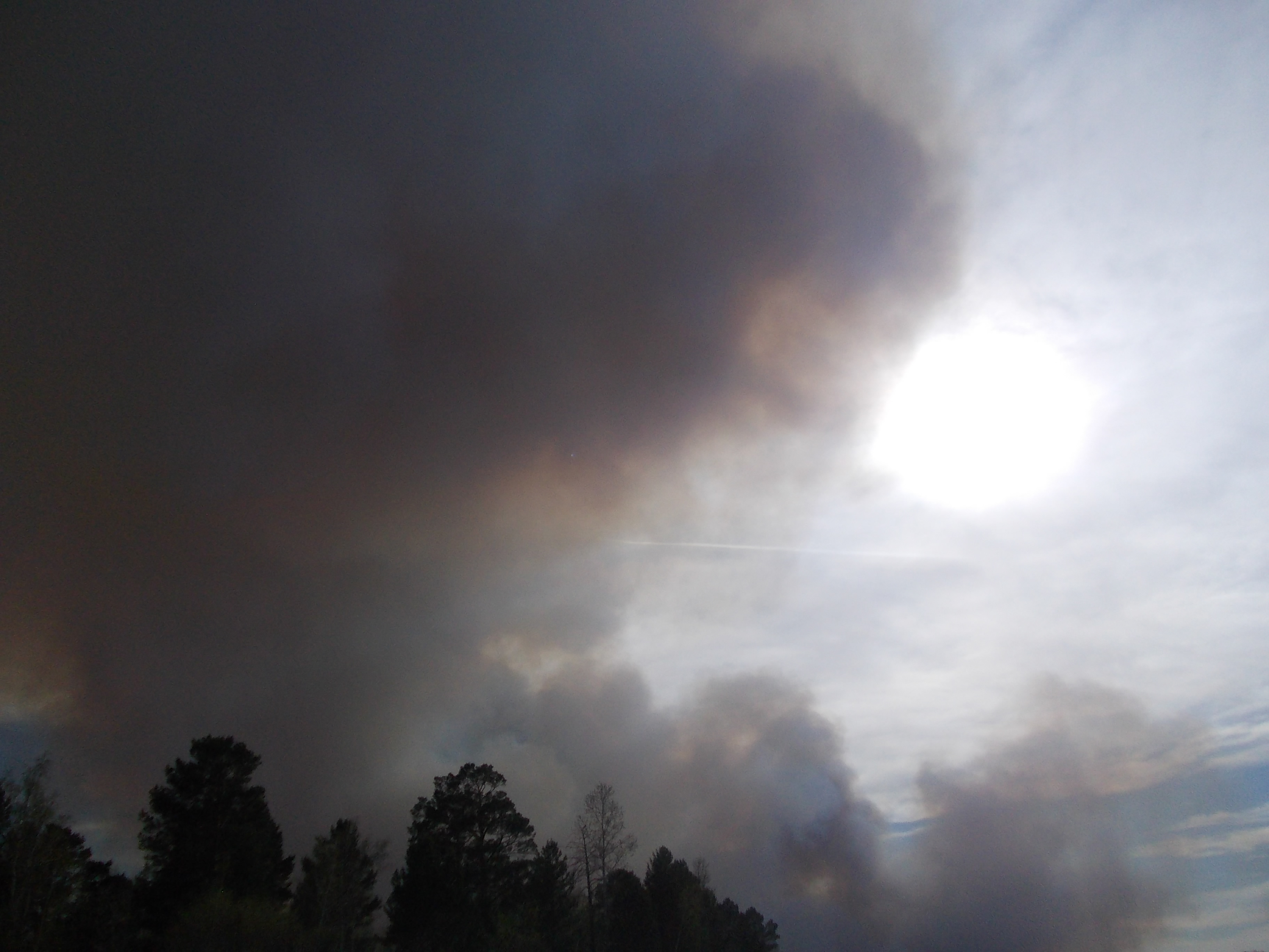 Лесные пожары