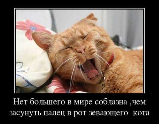Соблазн