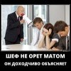 Шеф