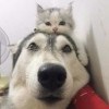 Ожидание с работы Ожидание с работы