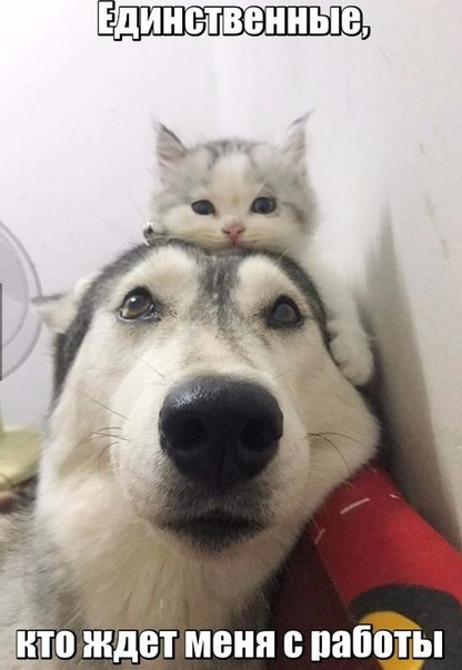 Ожидание с работы