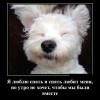 Люблю спать Люблю спать