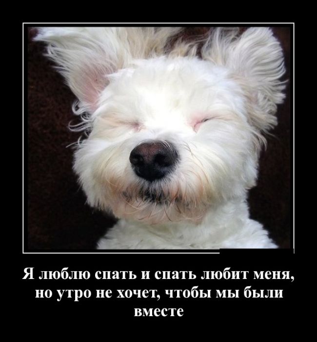 Люблю спать