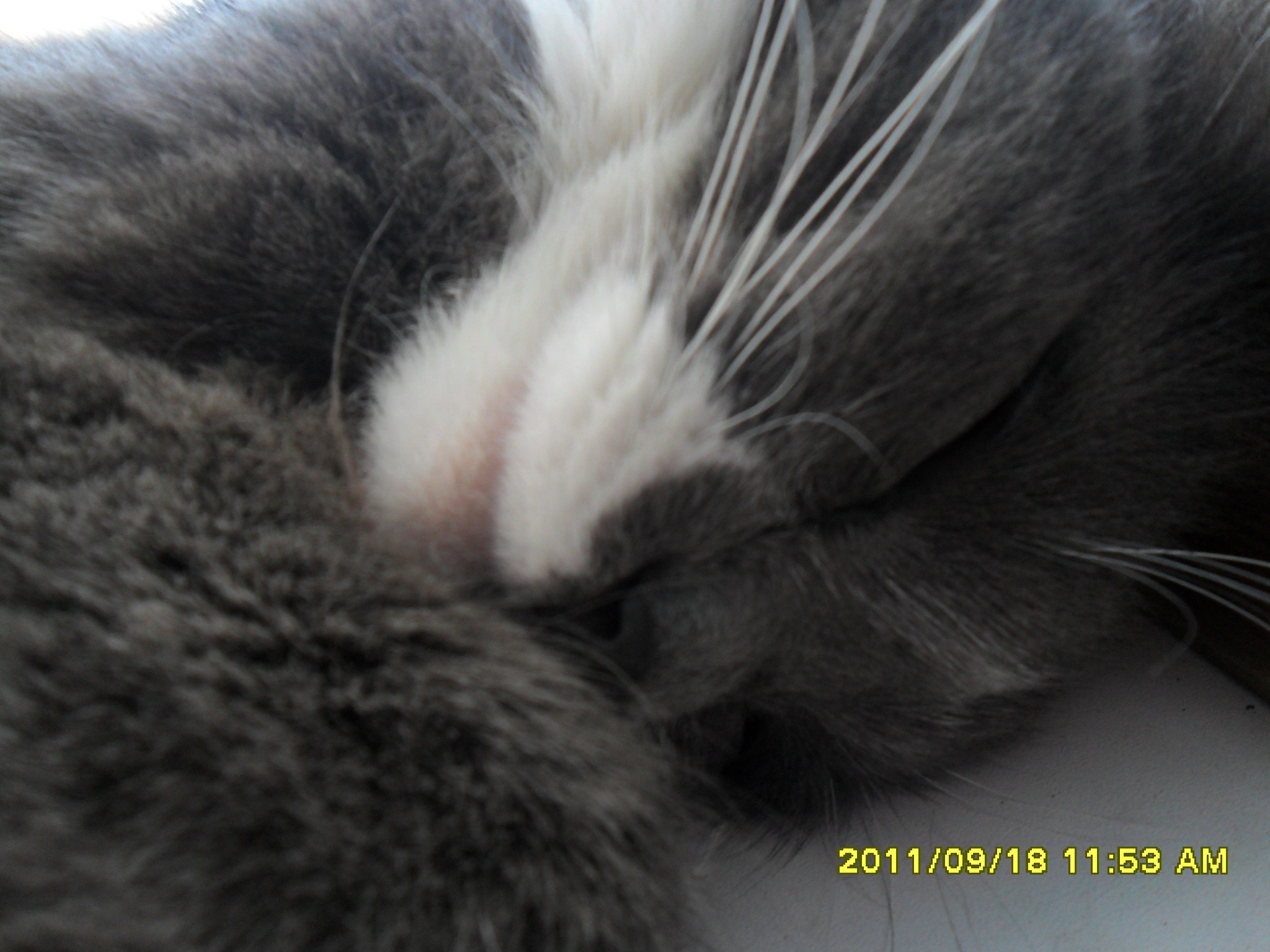 не кантовать