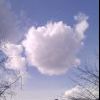 Очередное облако))))) Очередное облако)))))