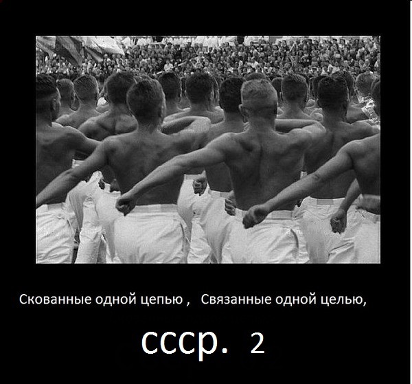 11569855 SSSR